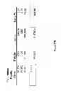 Fig. 71 - Synthesis of deuterated ribo nucleosides, N-protected phosphoramidites, and oligonucleotides