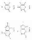 Fig. 02 - Synthesis of deuterated ribo nucleosides N-protected phosphoramidites, and oligonucleotides