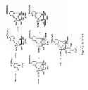 Fig. 06 - Synthesis of deuterated ribo nucleosides N-protected phosphoramidites, and oligonucleotides