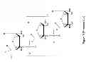 Fig. 09 - Synthesis of deuterated ribo nucleosides N-protected phosphoramidites, and oligonucleotides