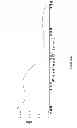 Fig. 49 - Synthesis of deuterated ribo nucleosides N-protected phosphoramidites, and oligonucleotides