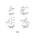 Fig. 02 - Fluorescent pyrazine derivatives and methods of using the same in assessing renal function