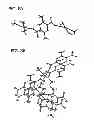 Fig. 09 - Fluorescent pyrazine derivatives and methods of using the same in assessing renal function