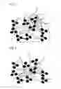 Fig. 02 - Color material and method for producing the same