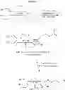 Fig. 07 - Method for preparing branched functionalized polymers using branched polyol cores