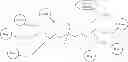 Fig. 09 - Method for preparing branched functionalized polymers using branched polyol cores