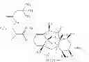 Fig. 02 - Process for preparing docetaxel and its hydrate
