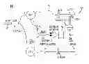 Fig. 01 - OPTICAL COHERENCE TOMOGRAPHY SYSTEM AND METHOD FOR REAL-TIME SURGICAL GUIDANCE