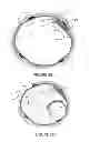 Fig. 06 - Transvascular nerve stimulation apparatus and methods