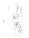 Fig. 02 - Orthopedic brace for animals
