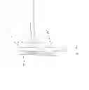 Fig. 04 - Orthopedic brace for animals