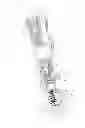 Fig. 05 - Orthopedic brace for animals