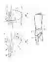 Fig. 06 - Flexible hand and wrist brace