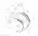 Fig. 02 - ABSORBENT ARTICLES COMPRISING NONWOVEN MATERIALS