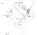 Fig. 08 - Methods for creating a channel through an occlusion within a body vessel