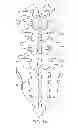 Fig. 02 - SURGICAL TETHER APPARATUS AND METHODS OF USE