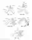Fig. 16 - Crush recoverable polymer scaffolds