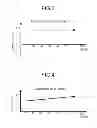 Fig. 04 - Intraocular lens and manufacturing method thereof