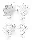 Fig. 02 - HYBRID BREAST IMPLANT AND TISSUE EXPANDER, METHODS OF MAKING AND USE OF SAME