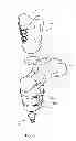 Fig. 02 - Modular prosthetic devices and prosthesis system