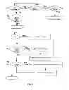 Fig. 09 - GENERIC SYSTEM FOR LINGUISTIC ANALYSIS AND TRANSFORMATION