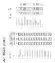 Fig. 06 - COMPUTER  PROGRAM, METHOD, AND SYSTEM FOR COLLECTING PATIENT DATA WITH A PORTABLE ELECTRONIC DEVICE