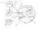 Fig. 01 - Controlled Communications System for Physician-Hospital System Integration
