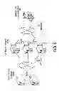 Fig. 03 - PROGRAM, METHOD, AND APPARATUS FOR MODELING WORKFLOW