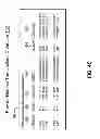 Fig. 08 - Universal transaction associating identifier