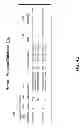 Fig. 09 - Universal transaction associating identifier