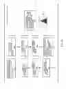 Fig. 24 - DECISION SUPPORT SYSTEM FOR THE MANAGEMENT OF ENERGY USE, CONTRACTING AND CAPITAL INVESTMENTS FOR FACILITIES