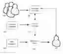 Fig. 01 - Offer Presentation for Crowdfunding