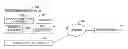 Fig. 01 - Identifying geospatial patterns from device data