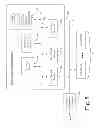 Fig. 06 - System and method for event-based synchronization of remote and local file systems