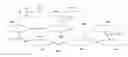 Fig. 01 - ORGANIZING CONTENT