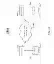 Fig. 19 - LIVE EVENT INFORMATION MANAGEMENT SYSTEM