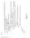 Fig. 12 - Input partitioning and minimization for automaton implementations of capturing group regular expressions