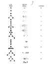 Fig. 09 - Method and/or system for transforming between trees and strings