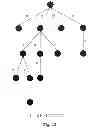 Fig. 13 - Method and/or system for transforming between trees and strings