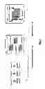 Fig. 02 - Manipulation of multi-tenancy database