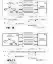 Fig. 07 - Interactive media streaming