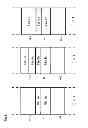 Fig. 09 - STORAGE MEDIUM USING NONVOLATILE SEMICONDUCTOR STORAGE DEVICE, DATA TERMINAL HAVING THE STORAGE MEDIUM MOUNTED THEREON, AND FILE ERASING METHOD USABLE FOR THE SAME