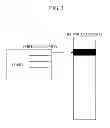 Fig. 04 - Shared virtual memory management apparatus for providing cache-coherence