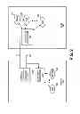 Fig. 03 - Sideband initialization
