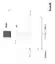 Fig. 06 - Information Management System and Method