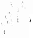 Fig. 05 - Methods and apparatus for voiced-enabling a web application