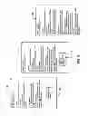 Fig. 04 - Manipulating design models by editing generated reports