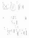 Fig. 02 - Methods and apparatus for voiced-enabling a web application