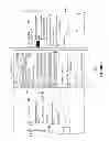 Fig. 07 - SYSTEMS AND METHODS FOR BI-DIRECTIONAL DISPLAY OF CONTENT OF A SOCIAL NETWORKING SYSTEM