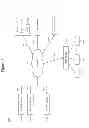 Fig. 02 - Method and apparatus for manipulating content channels